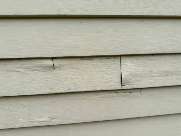 Best Custom Siding Design  in Reed Creek, GA